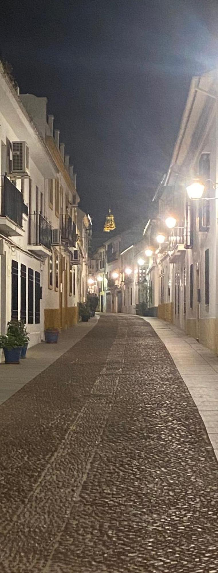 Enmitatiko Alcazar Viejo Daire Cordoba Dış mekan fotoğraf
