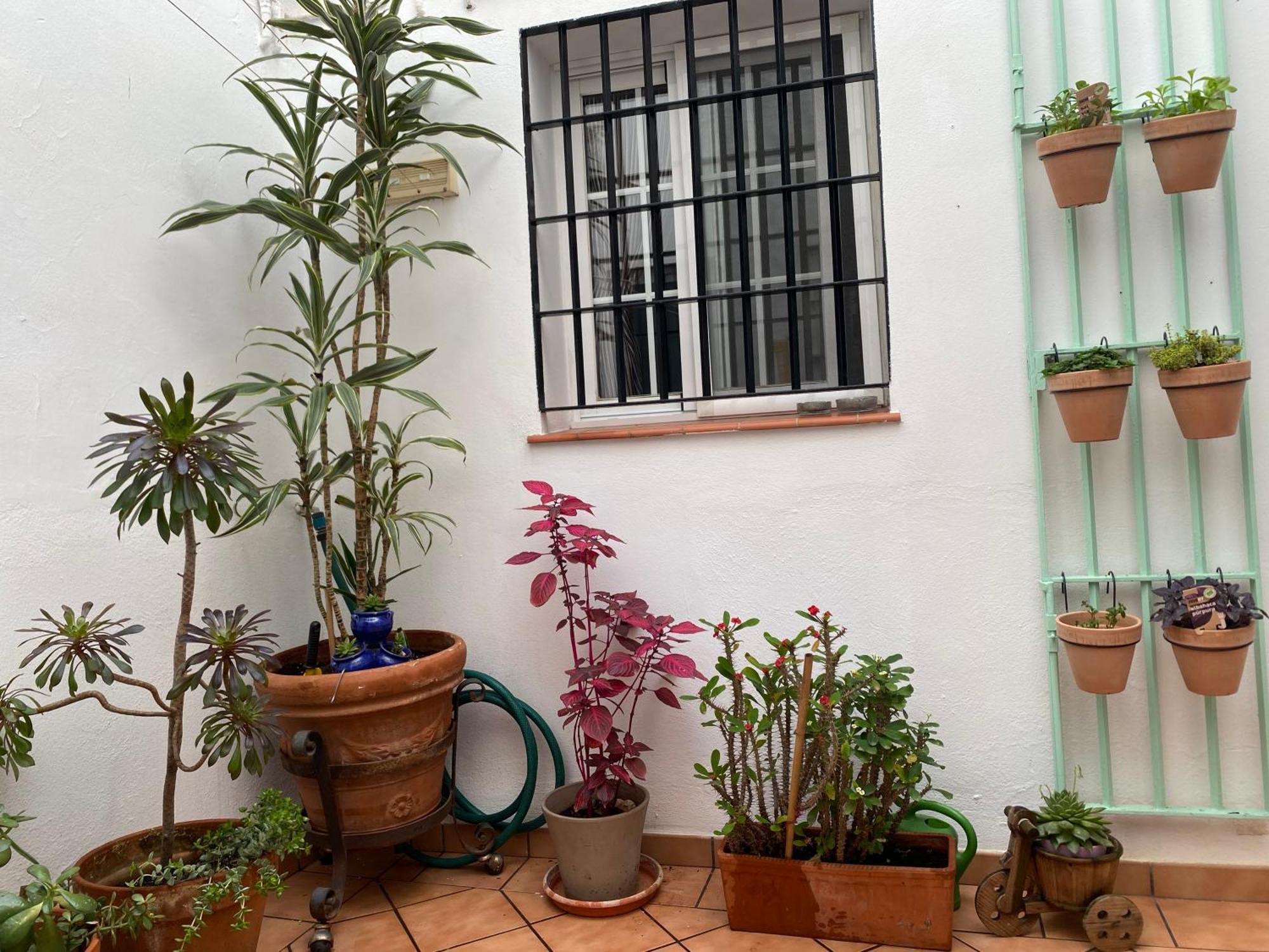 Enmitatiko Alcazar Viejo Daire Cordoba Dış mekan fotoğraf
